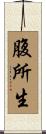 腹所生 Scroll