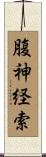腹神経索 Scroll