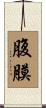 腹膜 Scroll