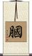 膕 Scroll