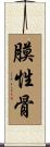 膜性骨 Scroll