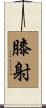 膝射 Scroll