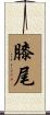 膝尾 Scroll