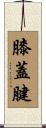 膝蓋腱 Scroll