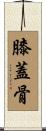 膝蓋骨 Scroll