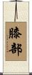 膝部 Scroll