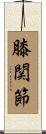 膝関節 Scroll