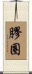 膠圈 Scroll