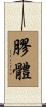 膠體 Scroll