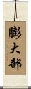 膨大部 Scroll