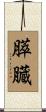 膵臓 Scroll