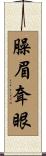 臊眉耷眼 Scroll