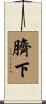 臍下 Scroll