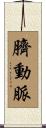 臍動脈 Scroll