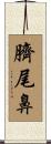 臍尾鼻 Scroll