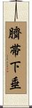 臍帯下垂 Scroll