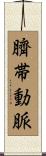 臍帯動脈 Scroll