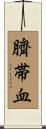 臍帯血 Scroll