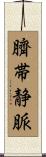 臍帯静脈 Scroll