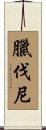 臘伐尼 Scroll