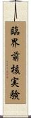 臨界前核実験 Scroll