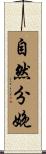 自然分娩 Scroll
