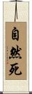 自然死 Scroll