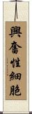 興奮性細胞 Scroll