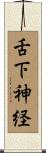 舌下神経 Scroll
