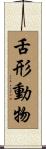 舌形動物 Scroll