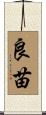 良苗 Scroll