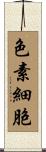 色素細胞 Scroll