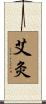 艾灸 Scroll