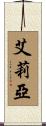 Arya Scroll