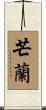 芒蘭 Scroll