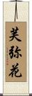 芙弥花 Scroll