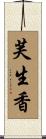 芙生香 Scroll