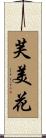芙美花 Scroll