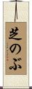 芝のぶ Scroll