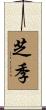 芝季 Scroll