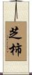 芝柿 Scroll