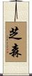 芝森 Scroll