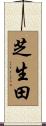 芝生田 Scroll