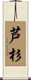 芦杉 Scroll