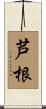 芦根 Scroll