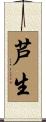 芦生 Scroll