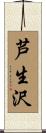 芦生沢 Scroll