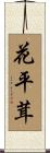 花平茸 Scroll