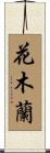 Hua Mulan Scroll