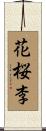花桜李 Scroll